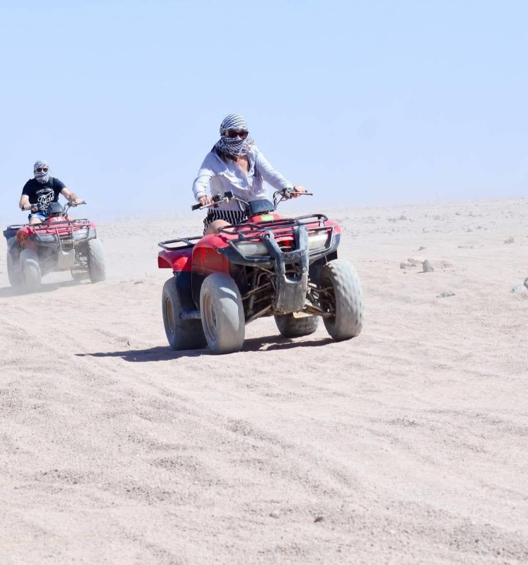 Moto Safari — photo 2 of 2